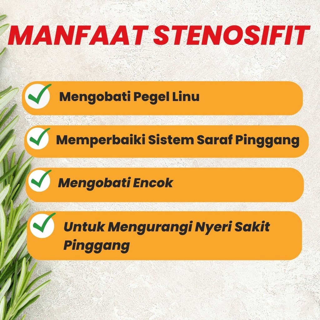 Obat sakit pinggang saraf kejepit jamu pegel linu dan kaki  nyeri sendi sarap kejepit pinggang belakang jamu pegal linu syaraf paling ampuh encok herbal sebelah kiri Stenosifit Naturindo