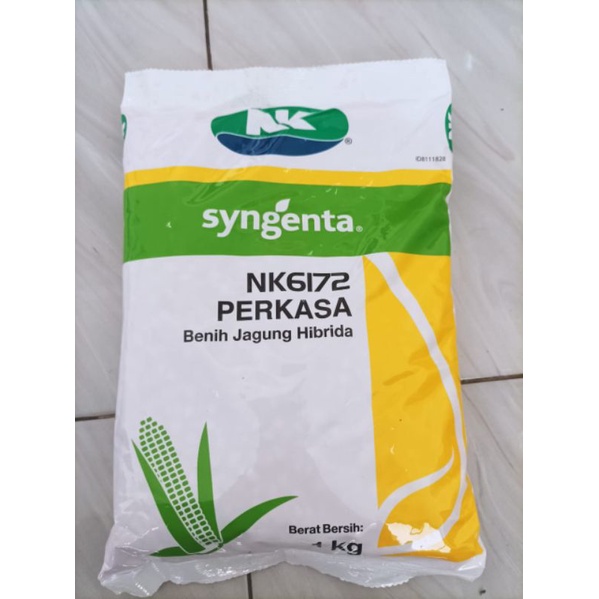 Benih Jagung NK Perkasa NK 6172 Perkasa