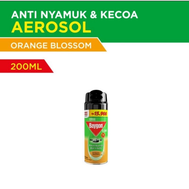 BAYGON ANTI NYAMUK &amp; KECOA 200ML