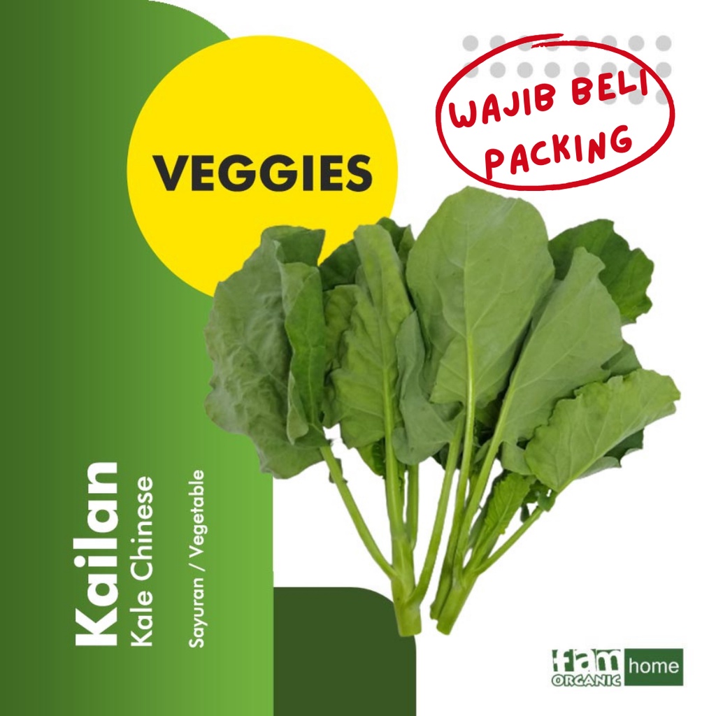 

Kailan Daun Chinese Kale Sayur Segar Fresh Vegetable FAM Organik