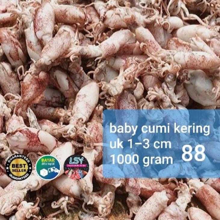 

☑ ikan asin baby cumi / cumi rebus kering 88 berat 1kg ☼