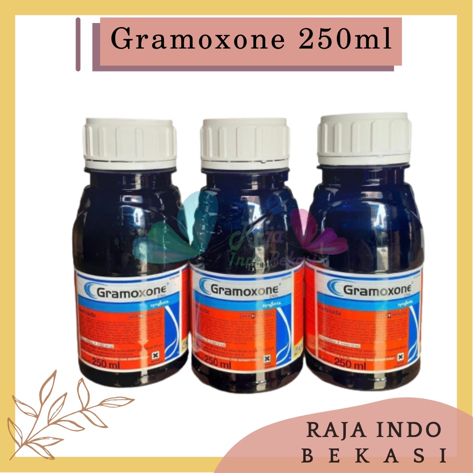 Herbisida Kontak GRAMOXONE 276SL Kemasan 250ml Pembasmi Gulma Berdaun Sempit dan Lebar