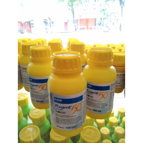REGENT 100ML
