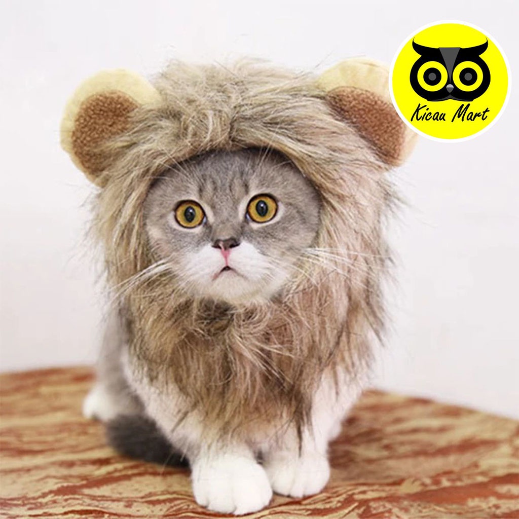 Topi Kupluk Kucing Anjing Hewan Peliharaan Model Wig Rambut Singa Dengan Telinga Kostum Anabul Pet Cap Lion Hair Pakaian Baju Kucing Anjing Monyet Kitten Anabul