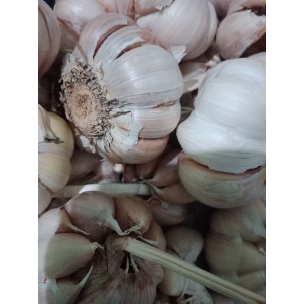 

BAWANG PUTIH SINCHO 250gr