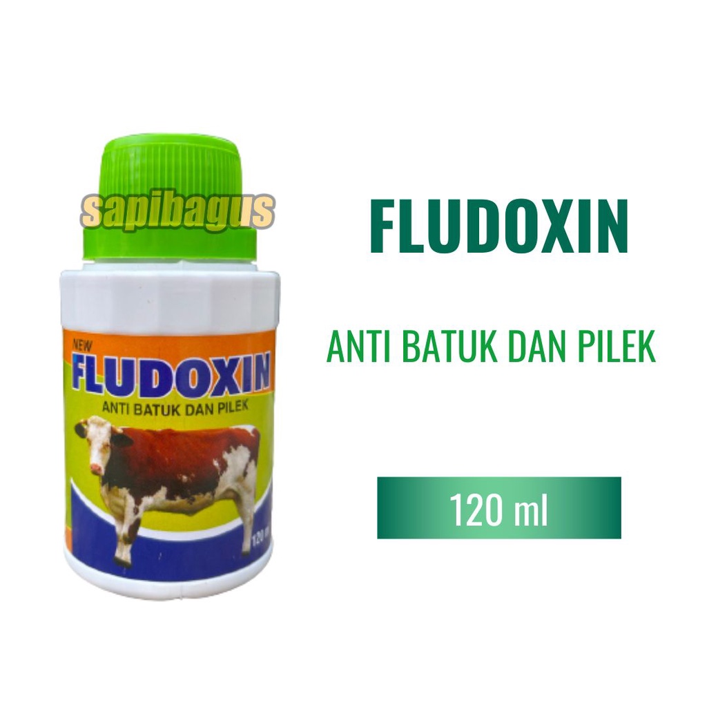 Fludoxin - Obat Batuk Pilek Ternak Sapi - Sapibagus