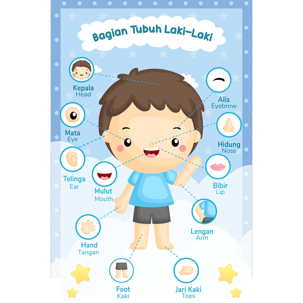 

Cetak Poster Murah Edukasi Anak Custom Gambar Bagian Tubuh Laki-laki, Gambar Bagian Tubuh Perempuan
