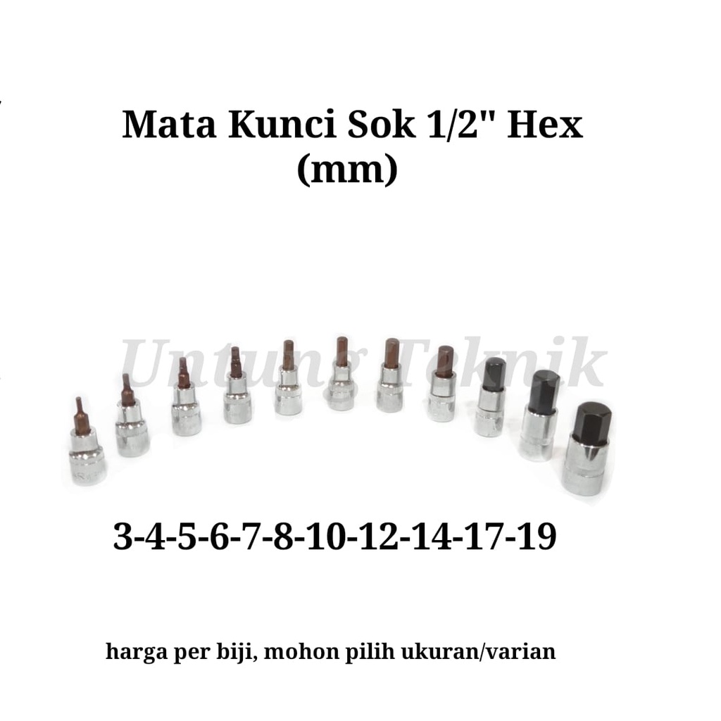 GESTAR BY CROSSMAN Mata Kunci Sok 1/2" Hex Bit 3-19mm Kunci L sok