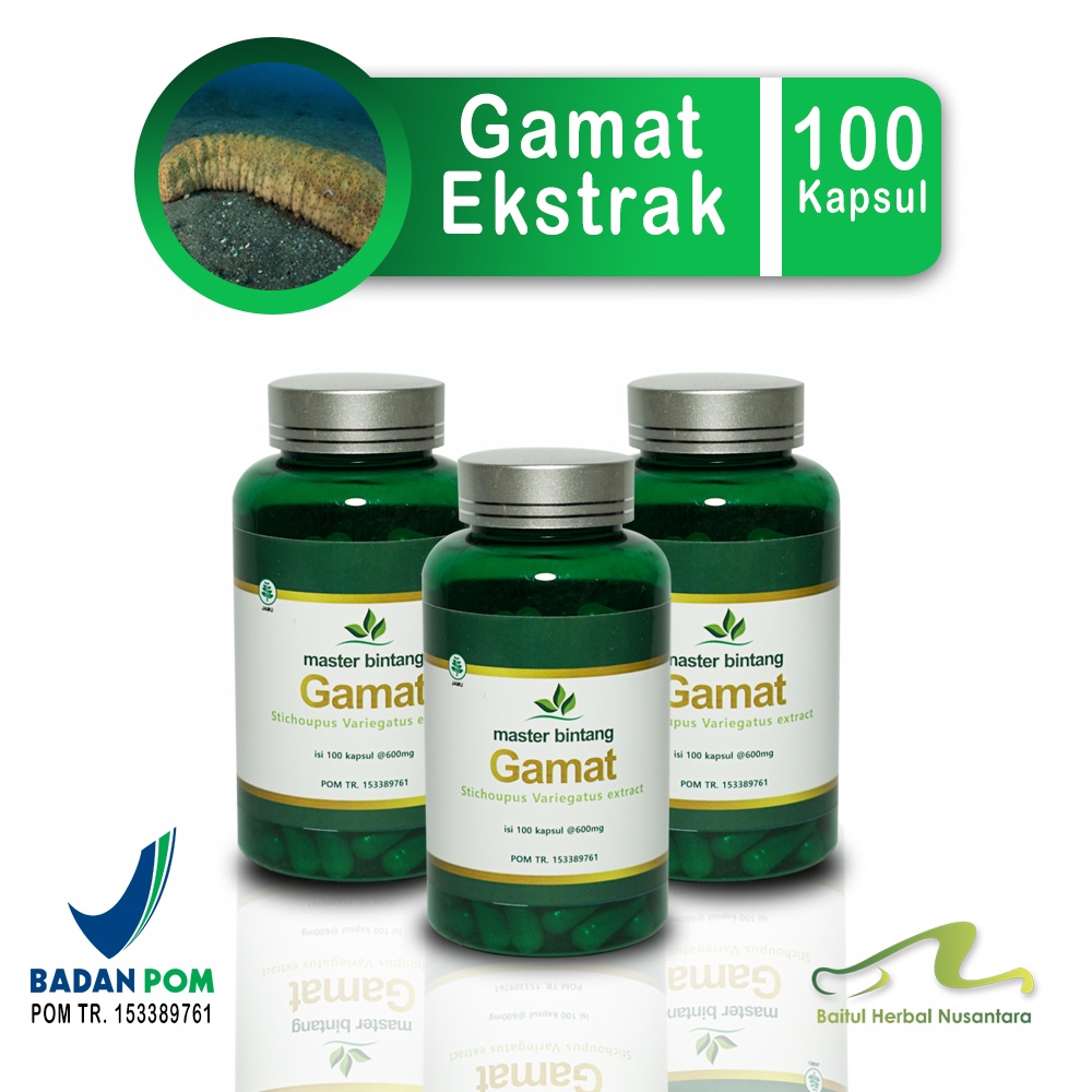 

GAMAT EMAS EKSTRAK 100cps Penyembuhan Luka Stroke Patah Tulang