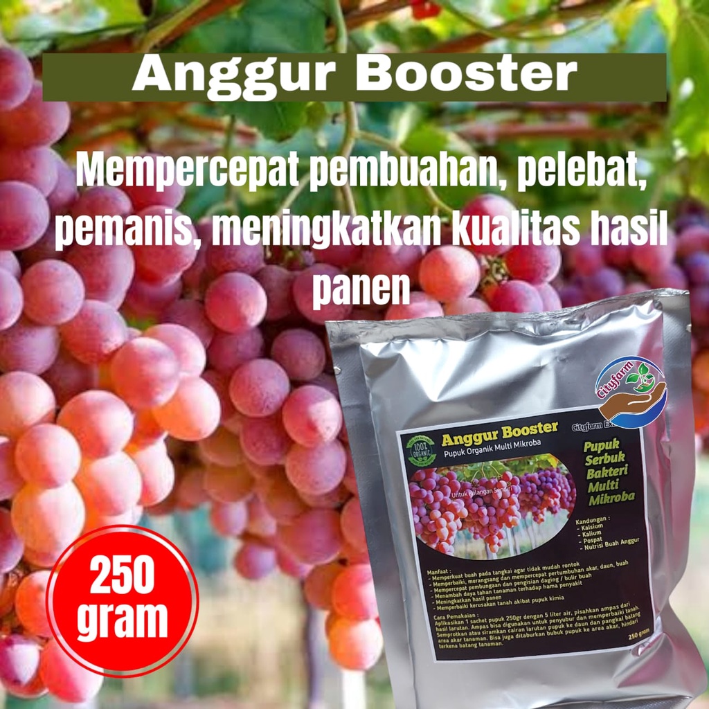 Pupuk Organik Booster Anggur Super Pelebat Buah Anggur Terbaik 250gr