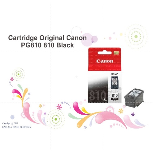Cartridge Ori PG810 810 Black