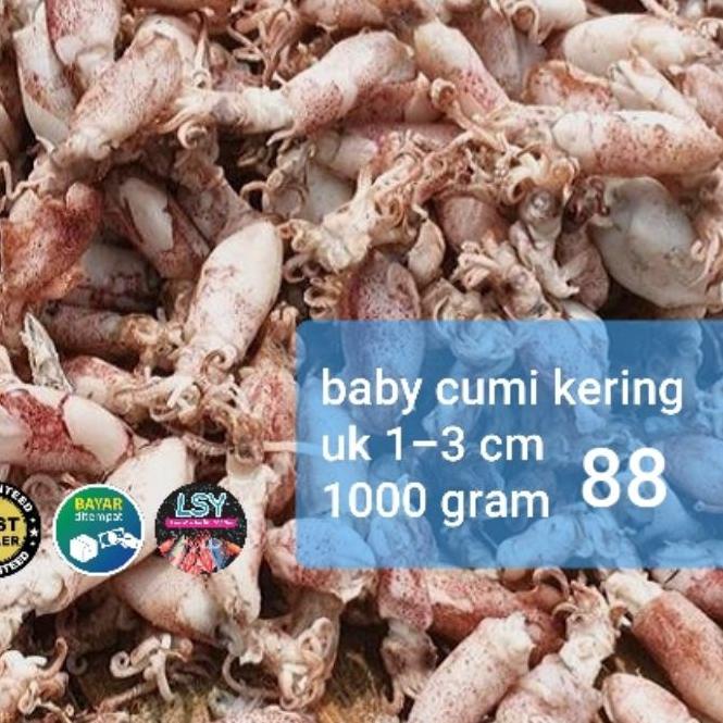 

☃ ikan asin baby cumi / cumi rebus kering 88 berat 1kg ♨