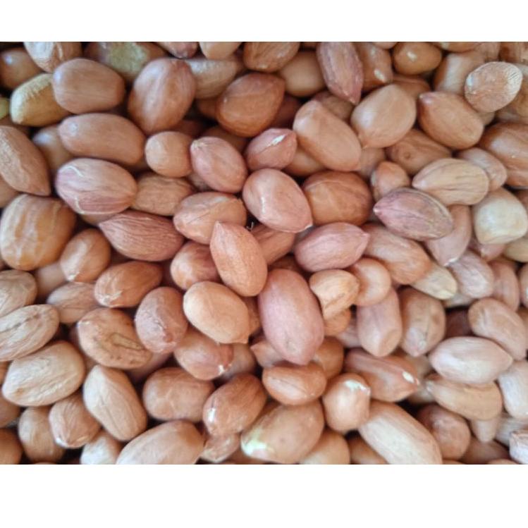 

Import ✨Terbaik✨ kacang tanah 1 kg kacang india 1000 gr !