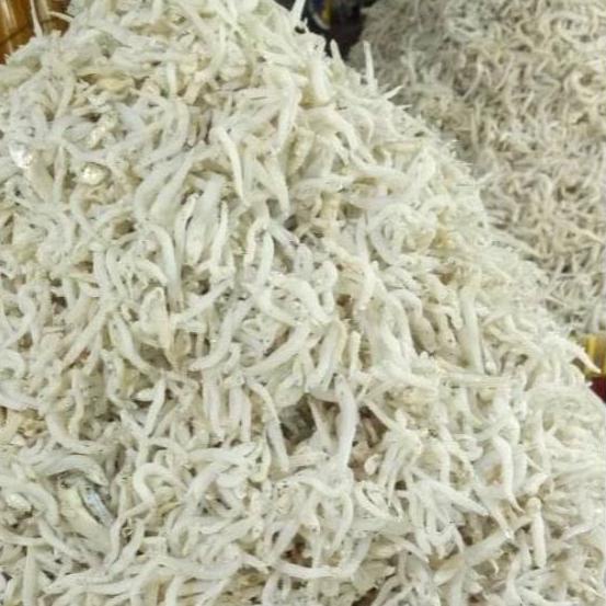 

✰ Teri Nasi Sedang ( 500 gram ) ➻