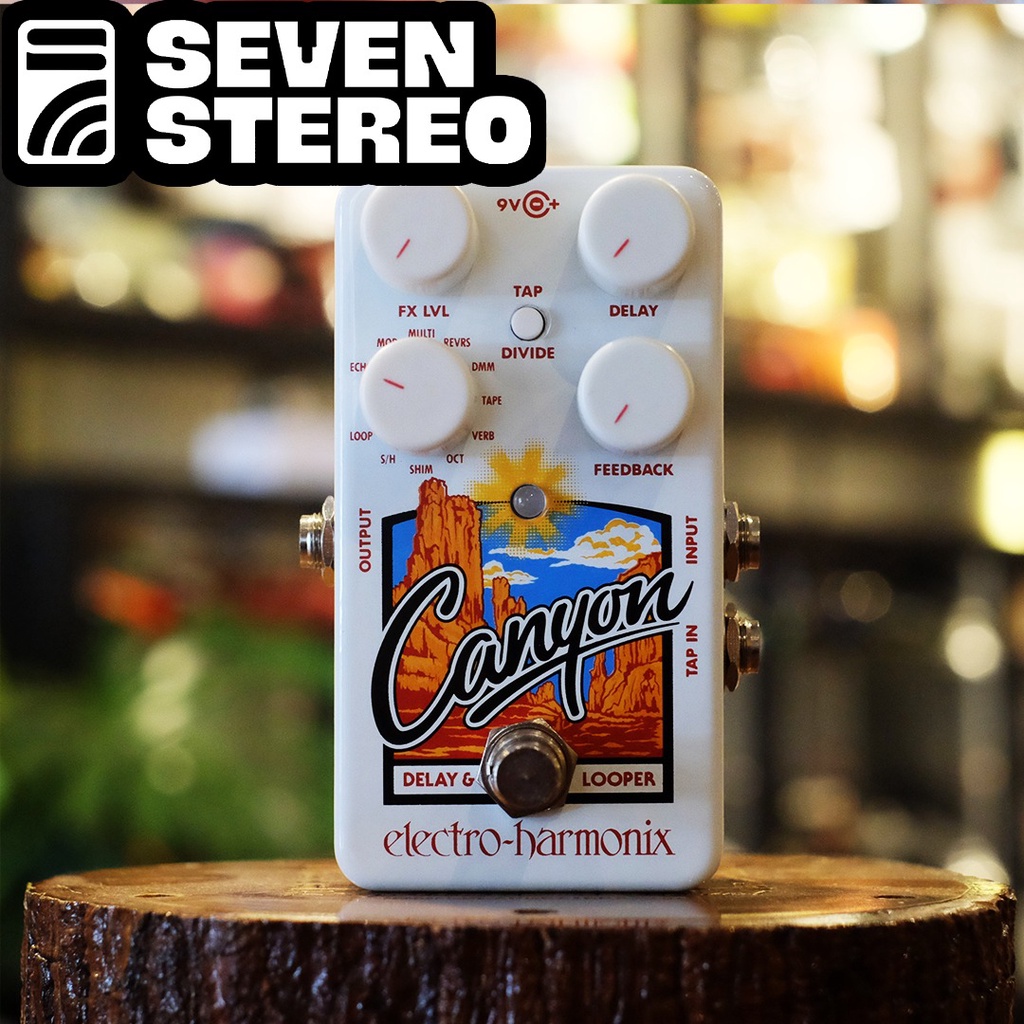 Electro Harmonix EHX Canyon Delay and Looper Pedal