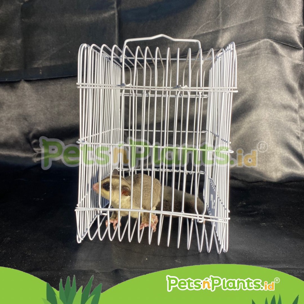 PnP Kandang Besi Hamster Sugar Glider 21x21x15 cm