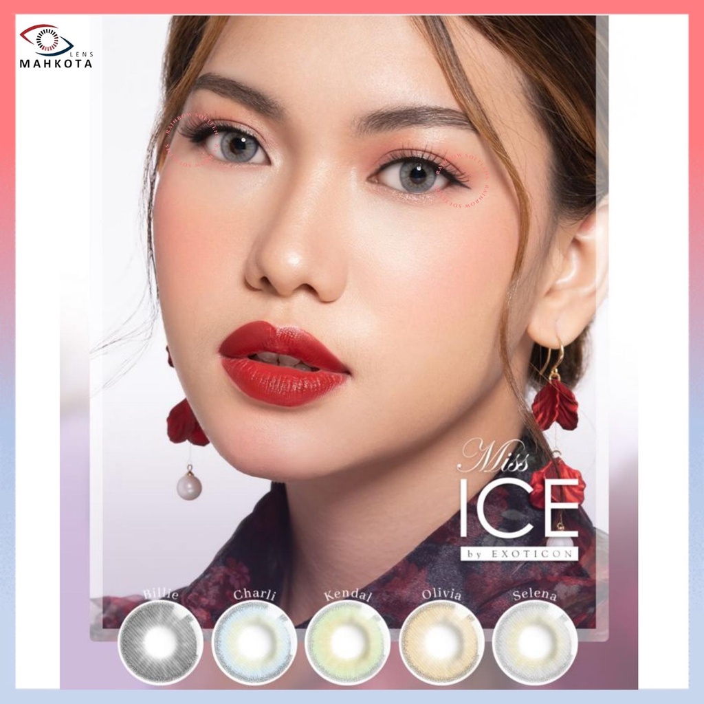 SOFTLENS MISS ICE BY EXOTICON NORMAL &amp; MINUS (-0.50 SD -2.50) DIA 14.5MM Softlen Soflens