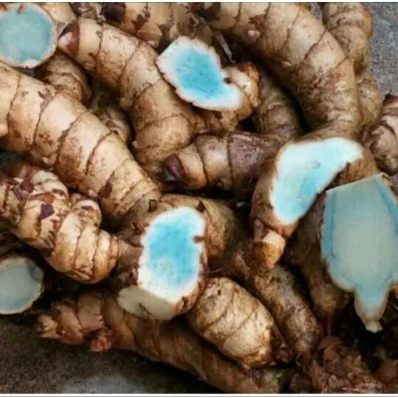 

Temulawak hitam/ireng segar 200 gram obat herbal murah terlaris