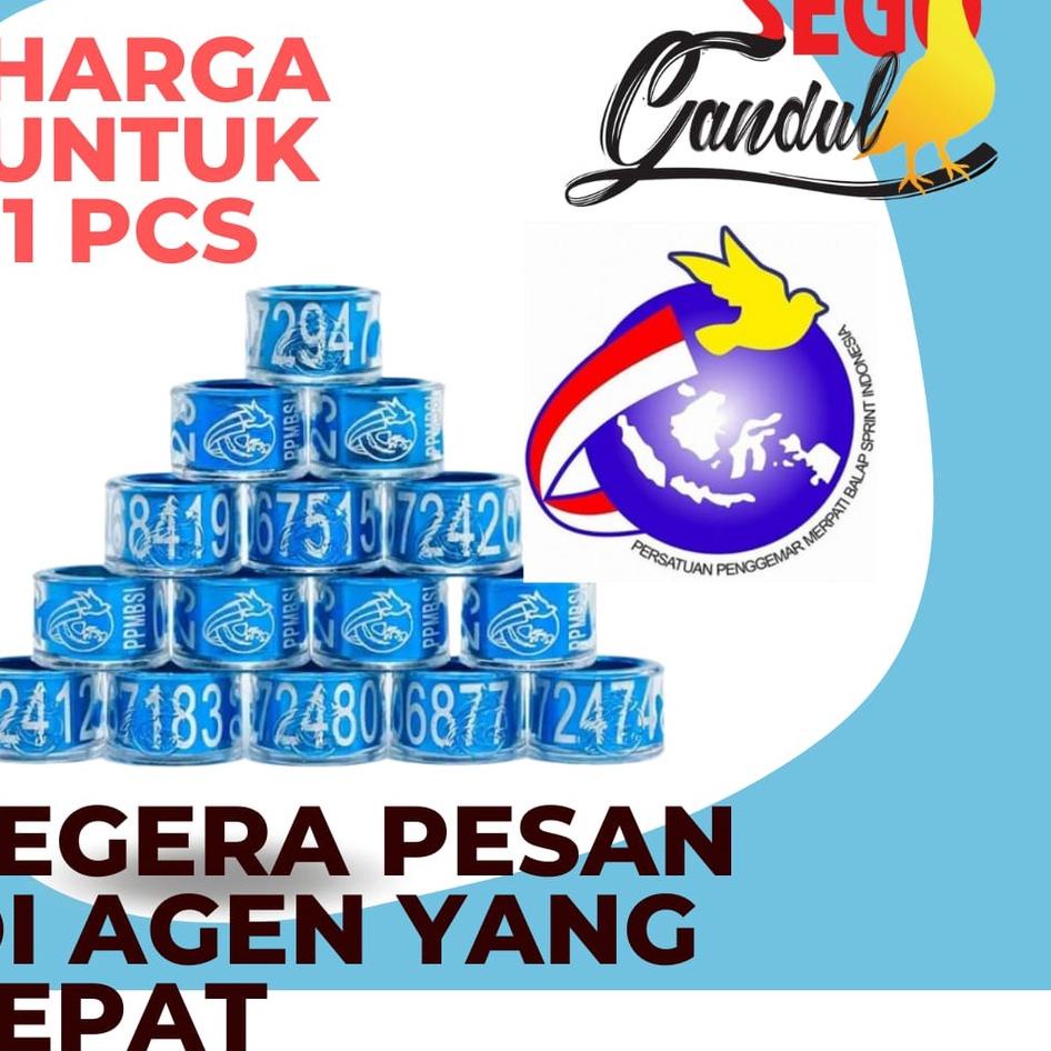 Terlaris Ring Pusat PPMBSI 2023 Merpati Balap