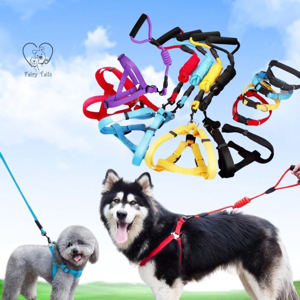 Pet Harness and Leash Tali Tuntun Dengan Strap Dada Y Untuk Outing Anjing dan Kucing Anabul / Y Harness Dog Leash Adjustable