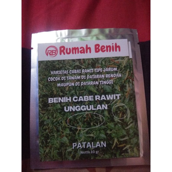 benih ori cabe rawit patalan/jarum