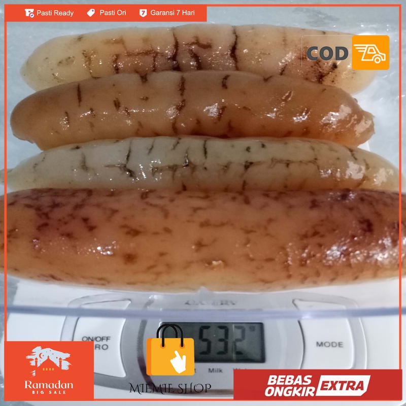 

haisom/hoisem/teripang gosok asli belitung