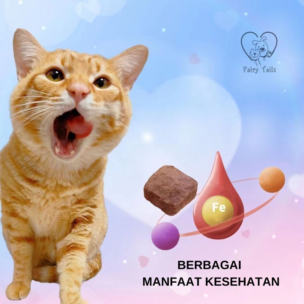 [PREMIUM] Snack Freeze Dried Blood and Meat Darah dan Daging Beku Untuk Anjing dan Kucing Nutrisi Zat Besi Dengan Lysine dan Lecithin