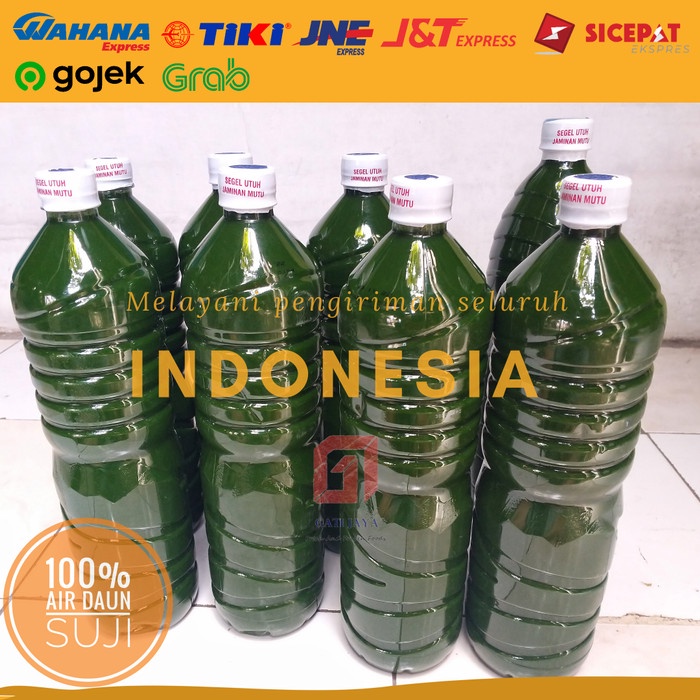 

Daun suji | Air daun suji | Air perasan daun suji