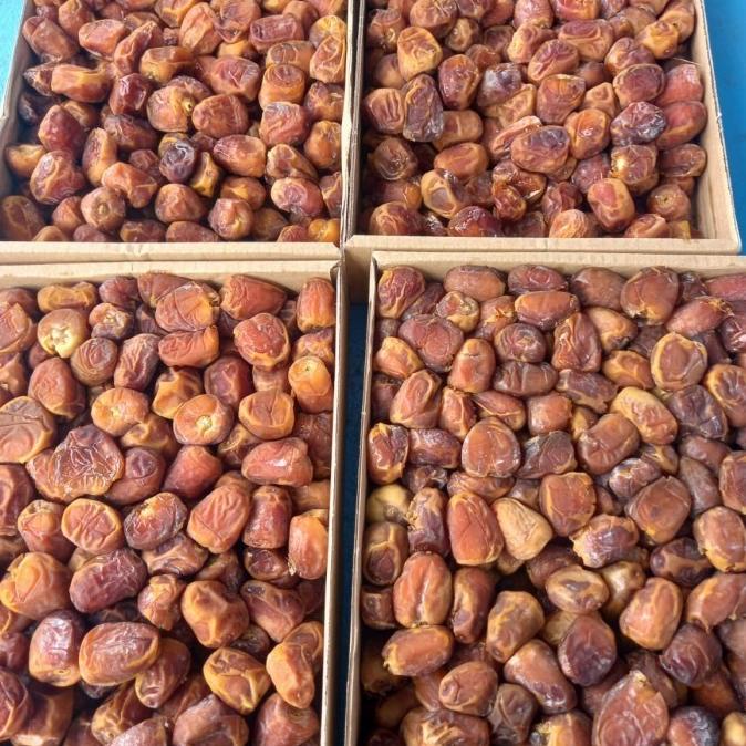 

KURMA SUKARI [DIJUAL] KURMA SUKARI 3KG CASTLE FARMS PREMIUM ORGANIK AL QASIM|KORMA EL09I09A82L