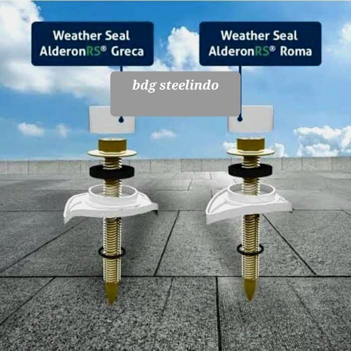 Baut Roofing Alderon RS / Skrup Ruping Weather Seal Roma / Sekrup Greca