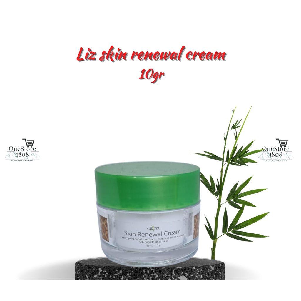 LIZ SKINCARE SKIN RENEWAL CREAM 10GR/ KRIM PENYAMAR BEKAS JERAWAT