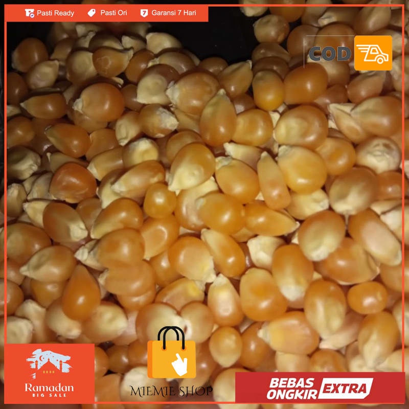 

Jagung popcorn mentah murah