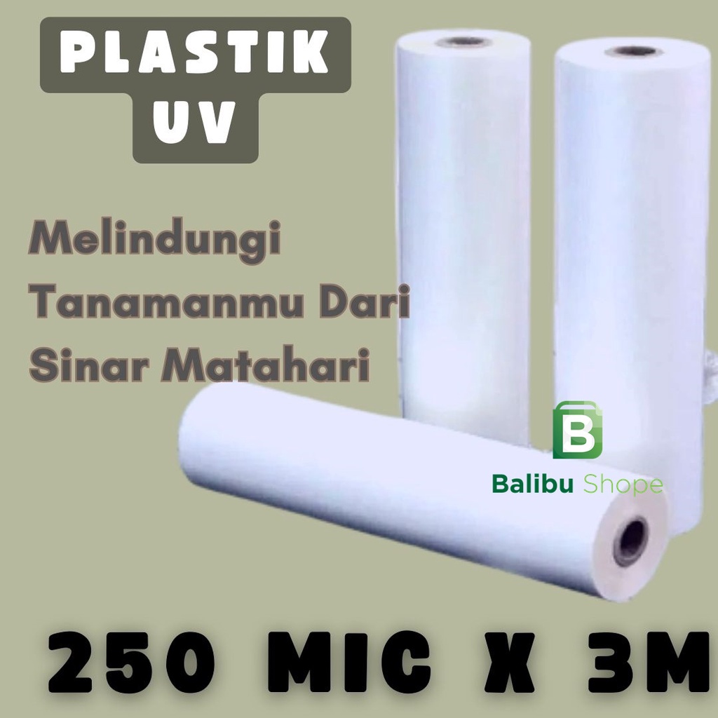 Plastik UV Green House Tebal 250 Micron 14% Lebar 3 Meter Plastik Green House