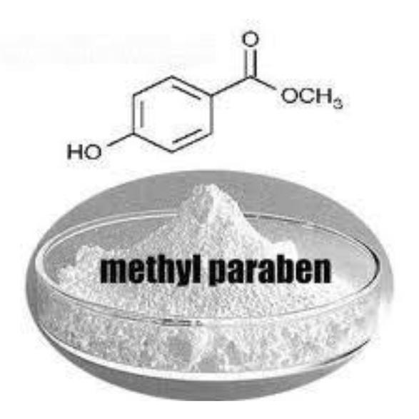 

NIPAGIN / METHYL PARABEN/pengawet kosmetik 1000 GRAM ama02