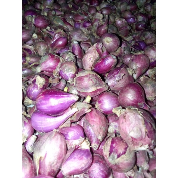 

bawang merah 1/2 kg
