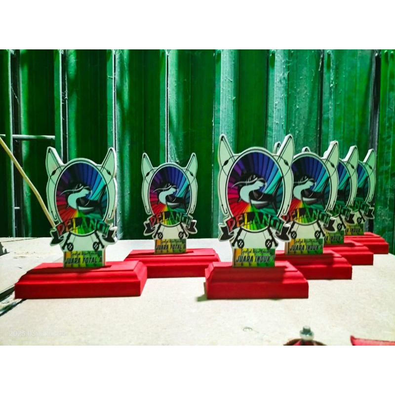 piala lomba mancing ikan