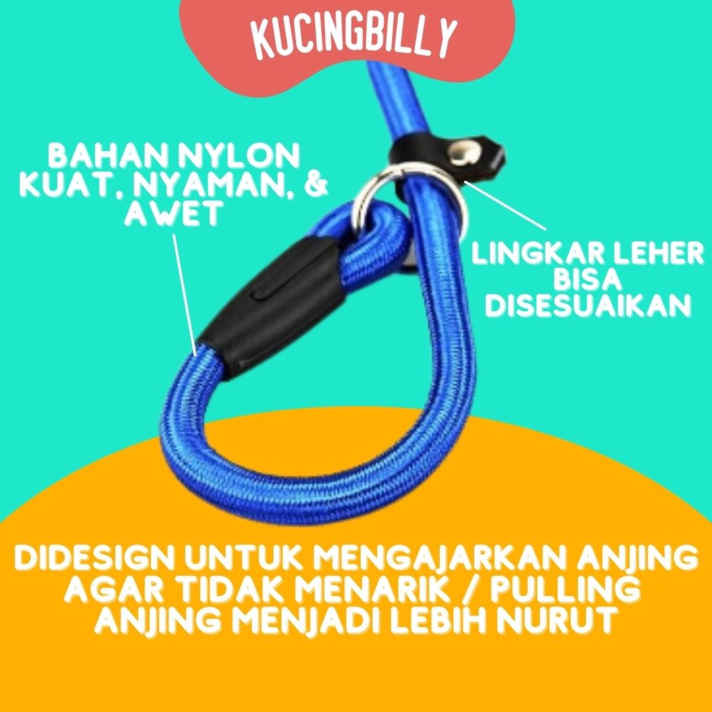 Cesar millan tali tuntun anjing Dog leash