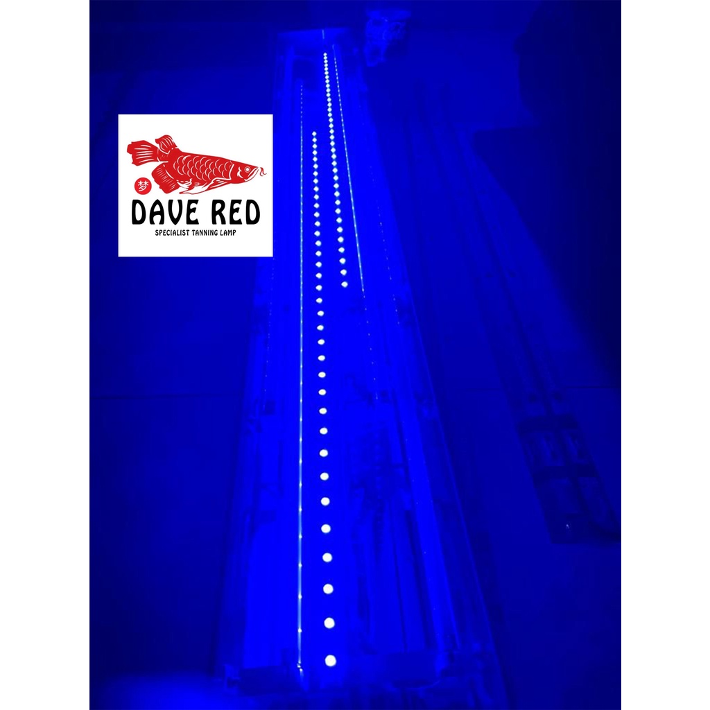 2 Baris Led HPL 3 watt Lampu Tanning Ikan Lampu Aquarium