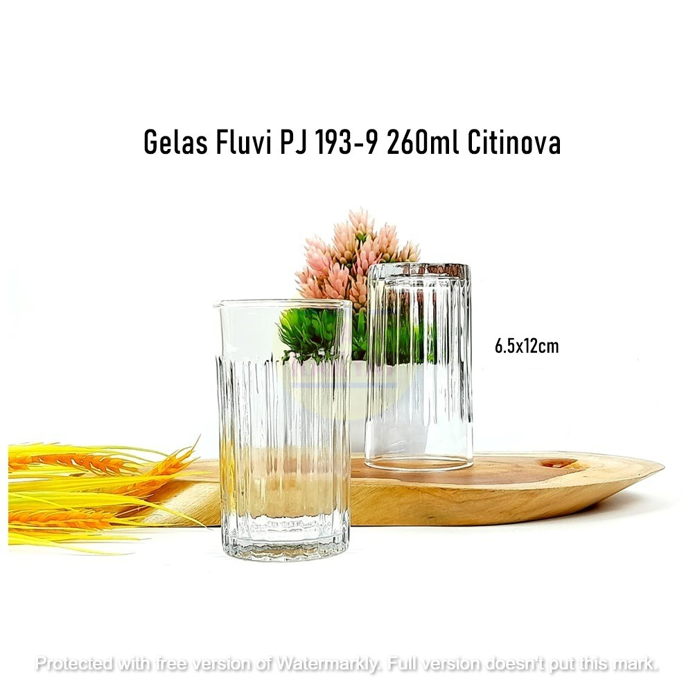 [1pcs] Gelas Fluvi PJ 193-9 Citinova