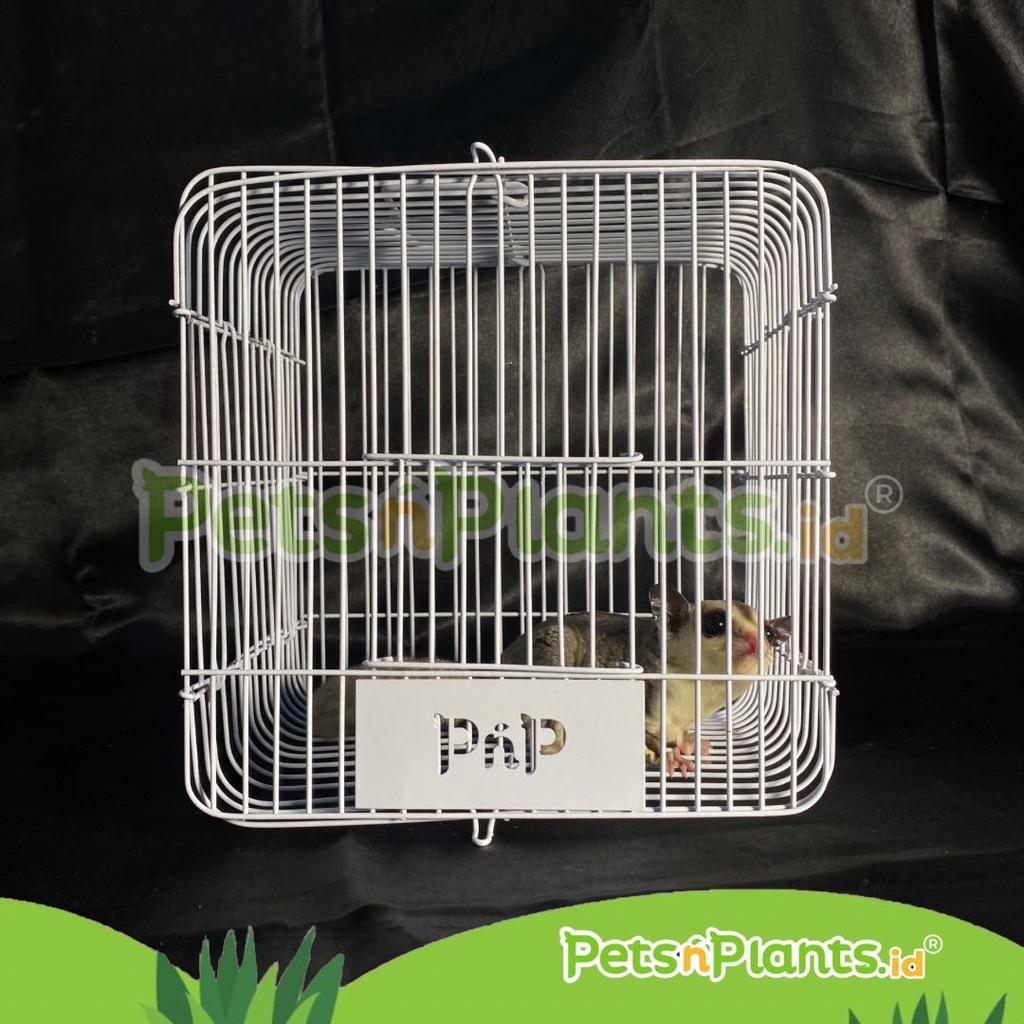 PnP Kandang Besi Hamster Sugar Glider 21x21x15 cm