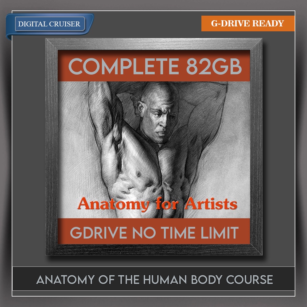 PROKO - Anatomy of the Human Body Course COMPLETE