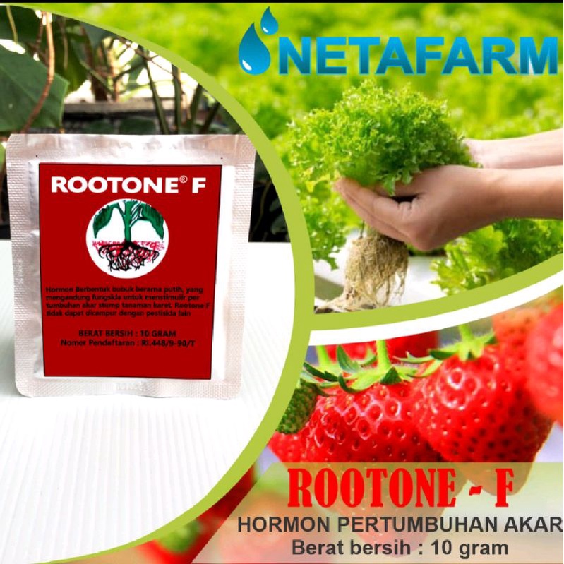Rootone-f pupuk hormon penumbuh akar