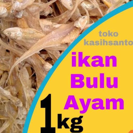 

☎ Ikan asin bulu ayam super-1kg ➮