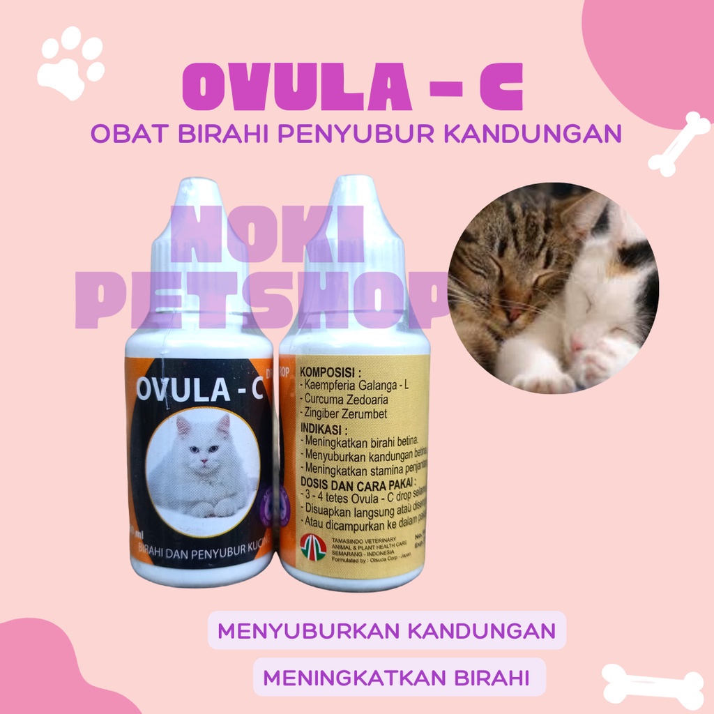 [BISA COD] OVULA C DROP - OBAT KUCING PENAMBAH BIRAHI STAMINA PENYUBUR KUCING CAT KITTEN