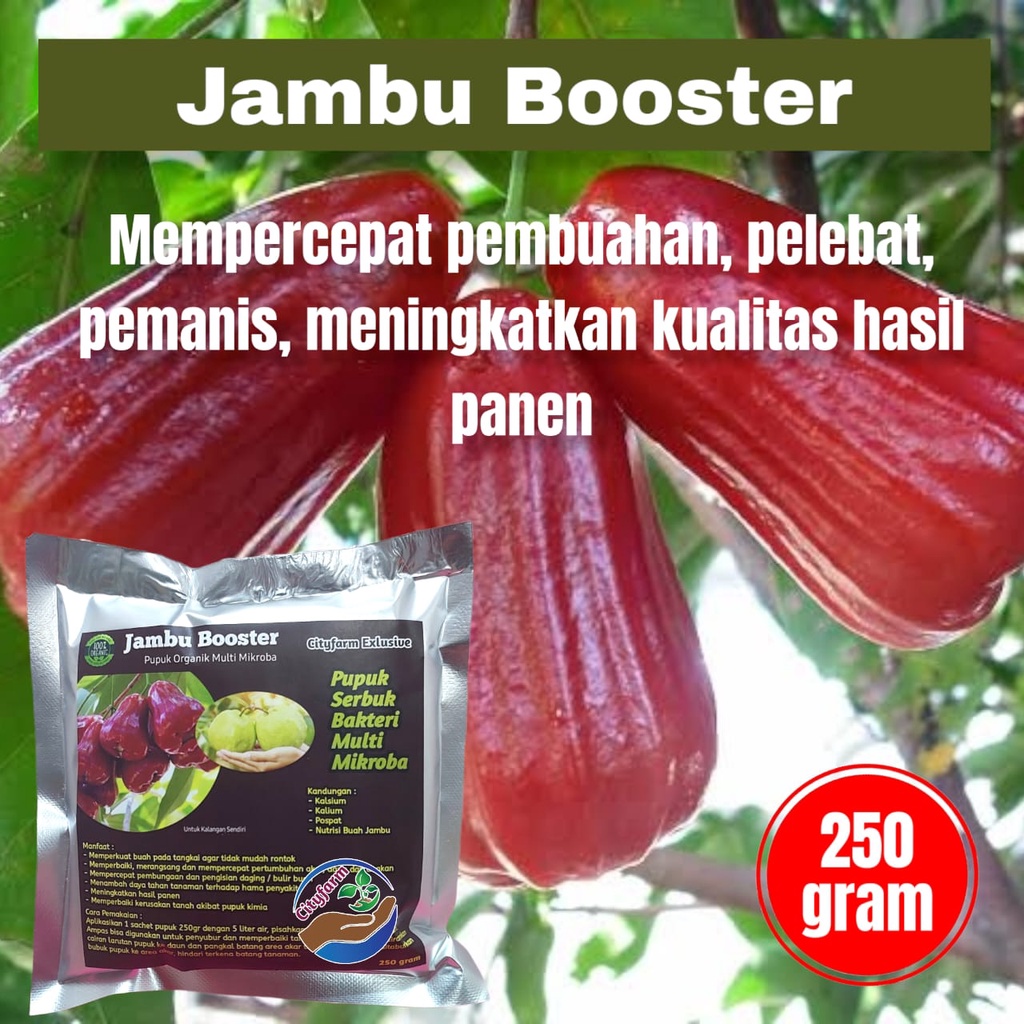 Pupuk Booster Jambu Super Organik Pelebat Buah Dan Anti Rontok 250gr