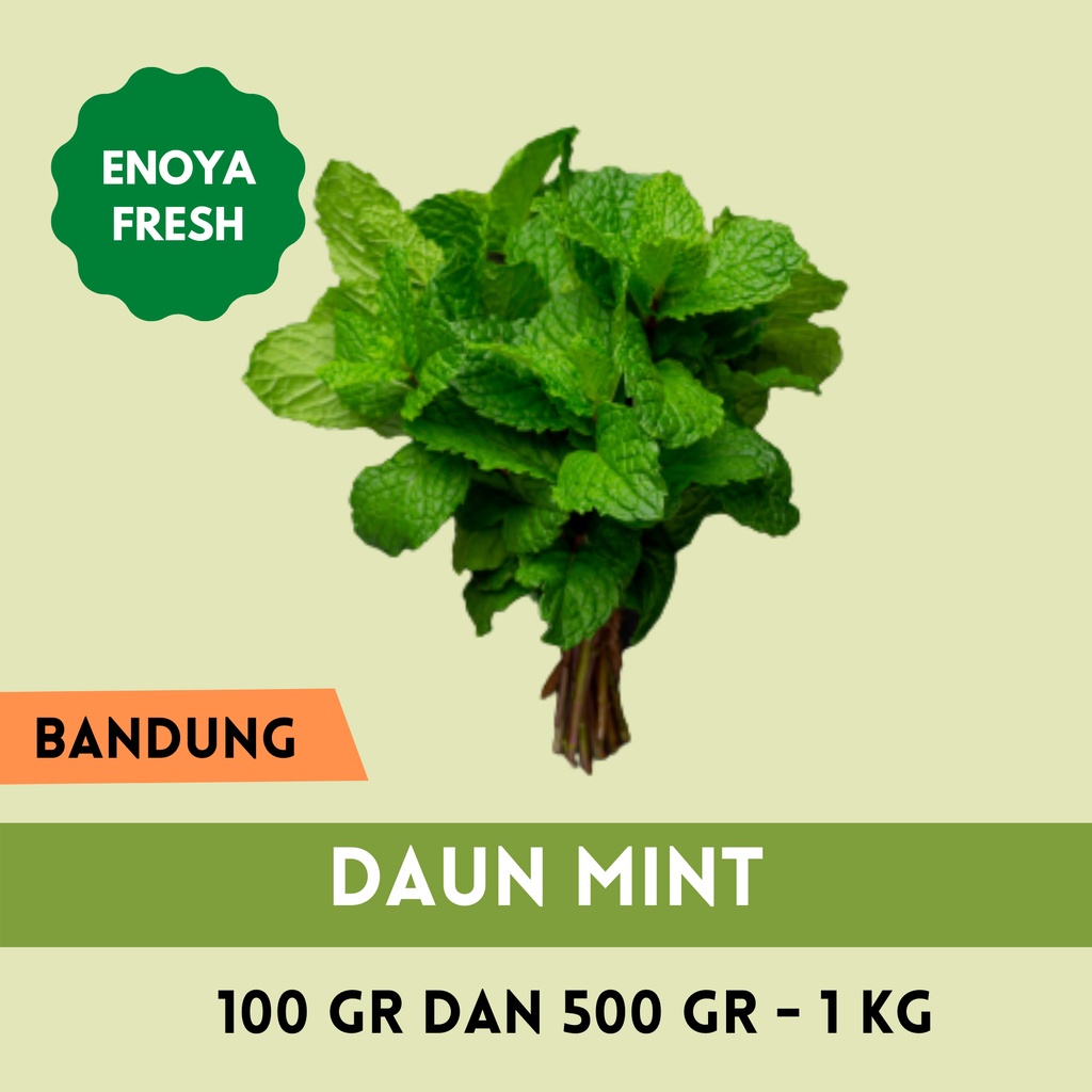 

Daun Mint 100 gram - 1 kg Bandung