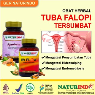 Jual Obat Herbal Tuba Falopi Tersumbat Ampuh Obat Penyumbatan Saluran Tuba Fallopi Hidrosalping