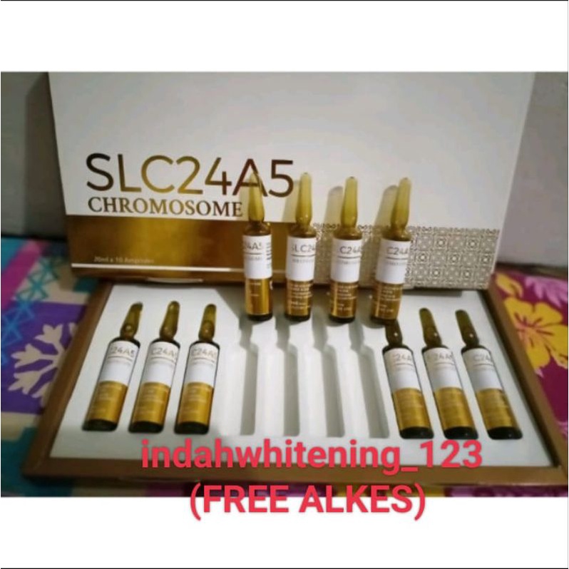 SLC24A5 CHROMOSOME GOLD ORIGINAL (ECER)