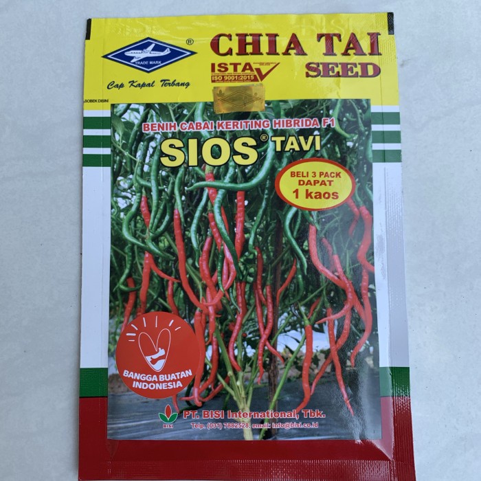 benih cabe sios tavi