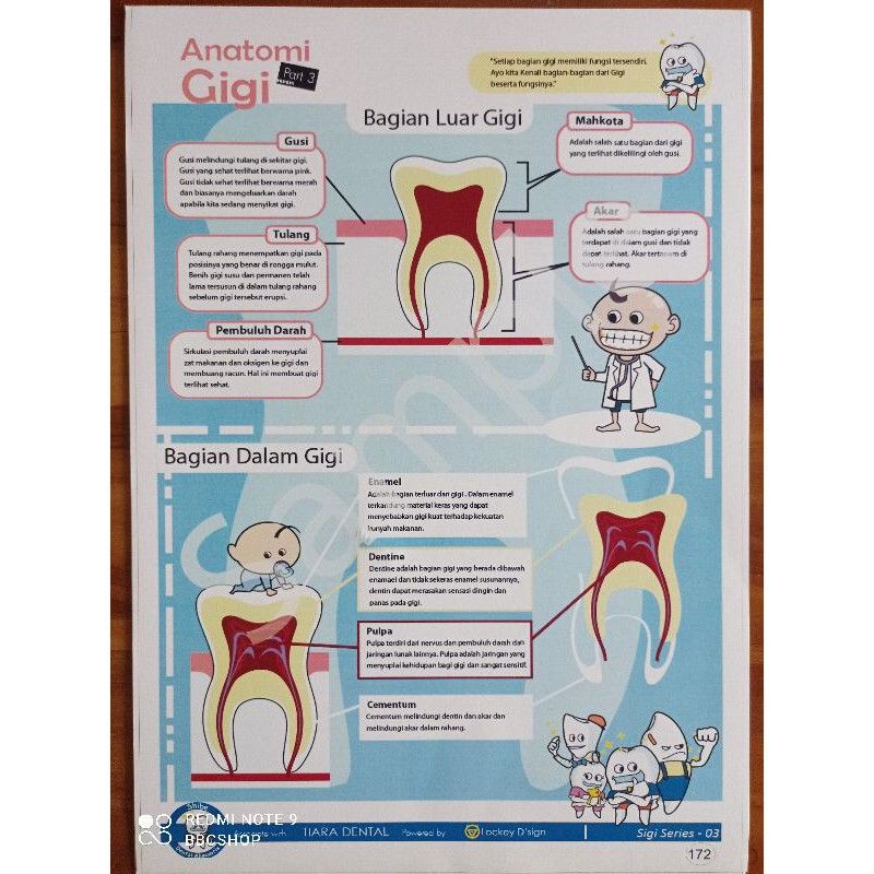 

Poster Edukasi Anatomi Gigi dan Fase Pertumbuhan Gigi